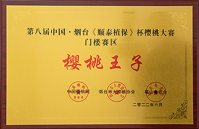 資質榮譽