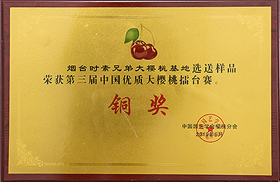 資質(zhì)榮譽(yù)