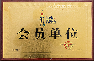 資質(zhì)榮譽(yù)