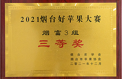 資質(zhì)榮譽(yù)