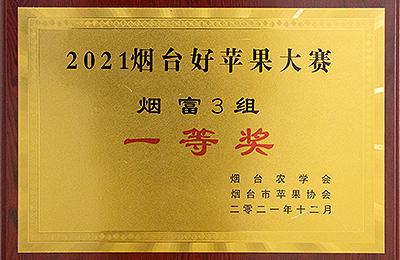 資質(zhì)榮譽(yù)