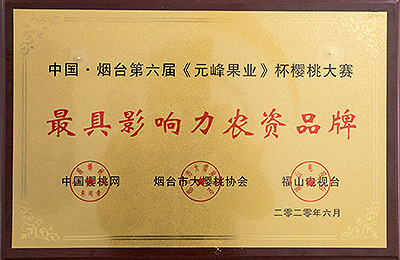 資質(zhì)榮譽(yù)
