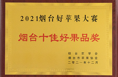 資質(zhì)榮譽(yù)
