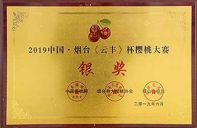 資質(zhì)榮譽(yù)