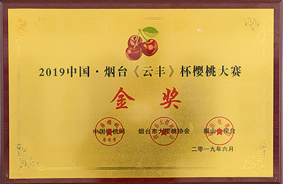 資質(zhì)榮譽(yù)
