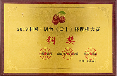 資質(zhì)榮譽(yù)