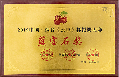 資質(zhì)榮譽(yù)