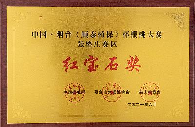 資質(zhì)榮譽(yù)