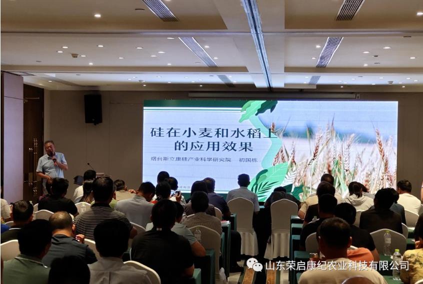 小麥硅肥拌種正當(dāng)時(shí)，糧食增產(chǎn)又增收